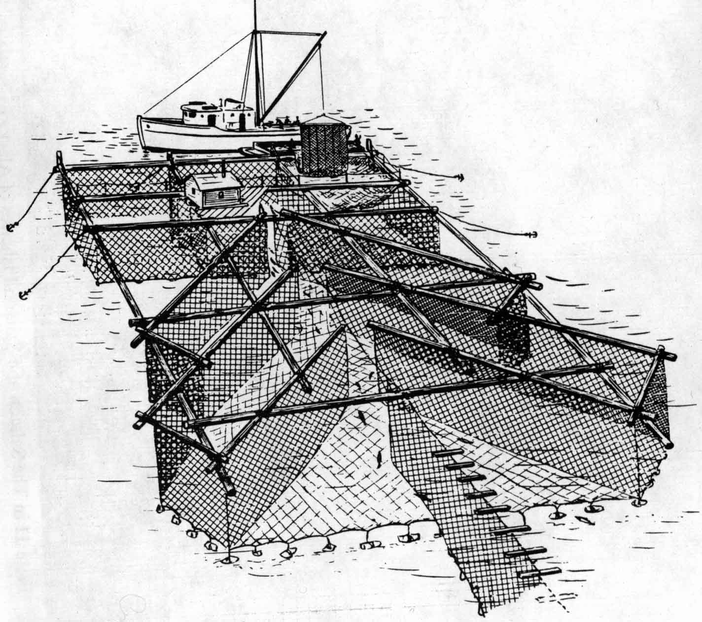 The Political Economy of Fish Traps In Alaska