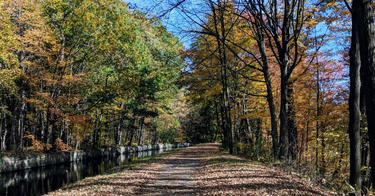 Best Road Trip Stops From Albany To Lake Placid