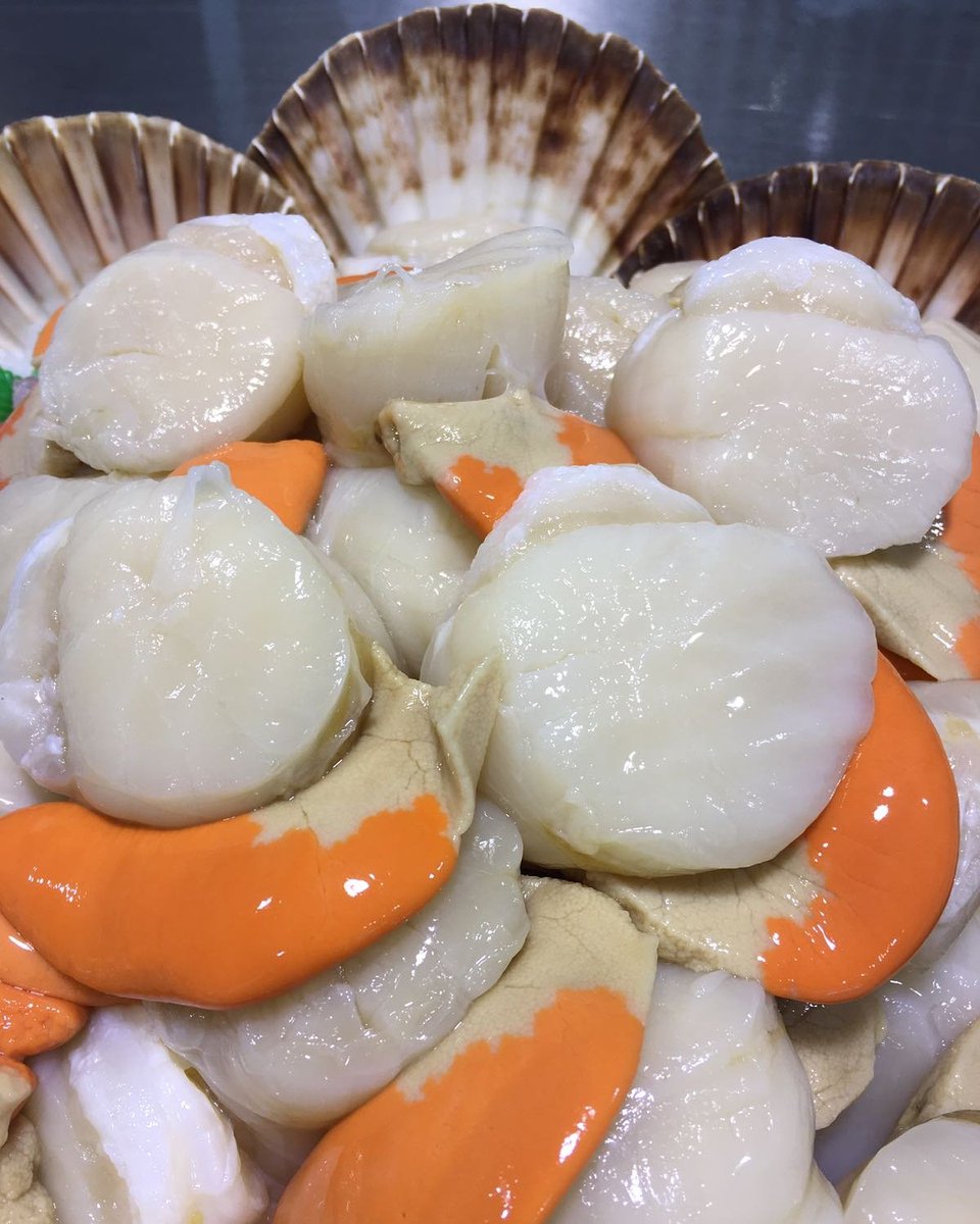 Fresh Scallops Alba SeafoodAlba Seafood