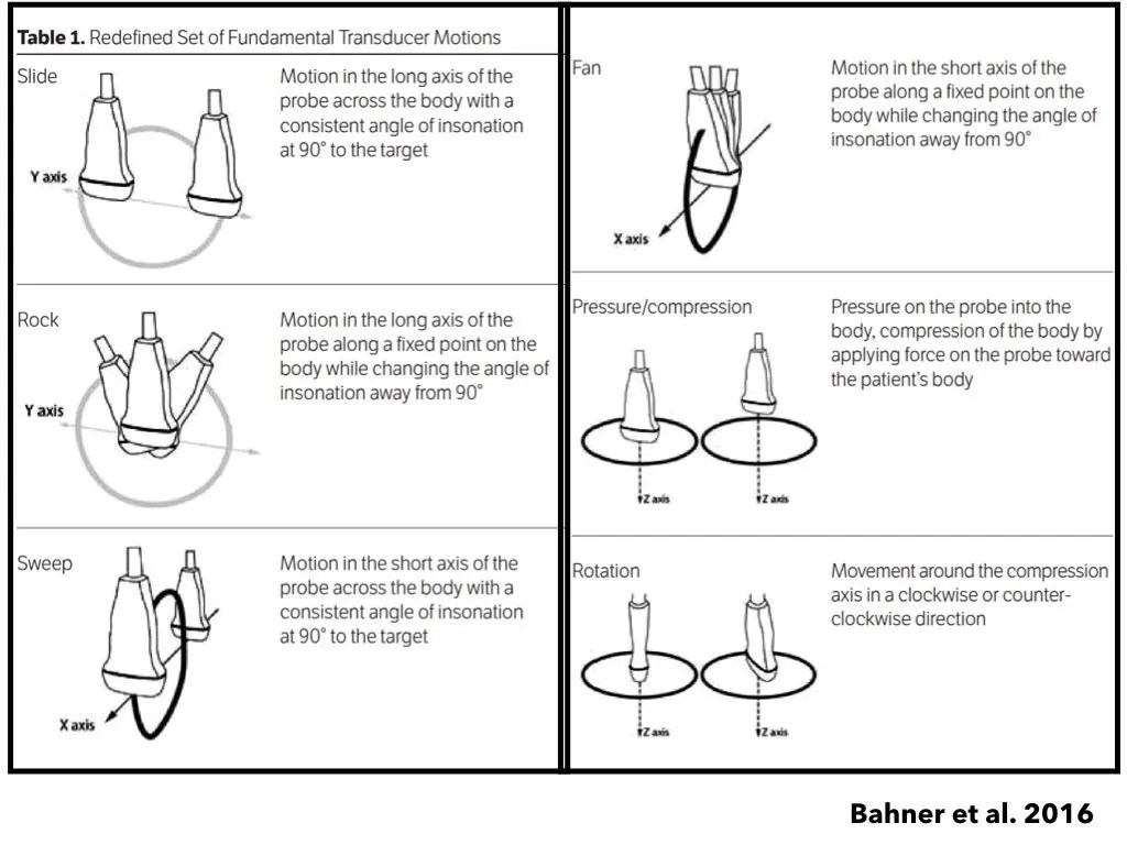 eFAST fundamentals Saving Lives With Sound