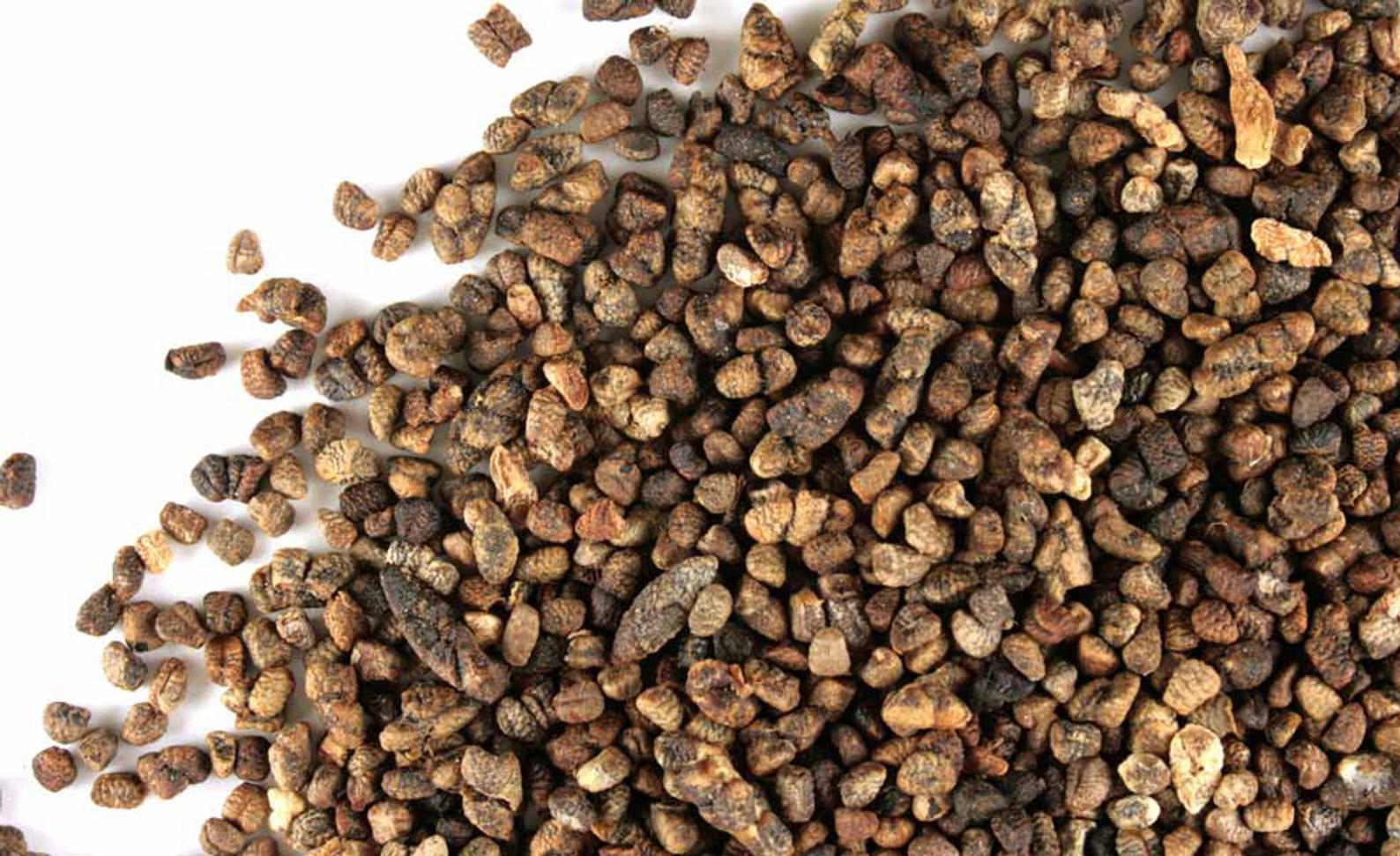 Cardamom Seed Alchemy & Elixir Health Group