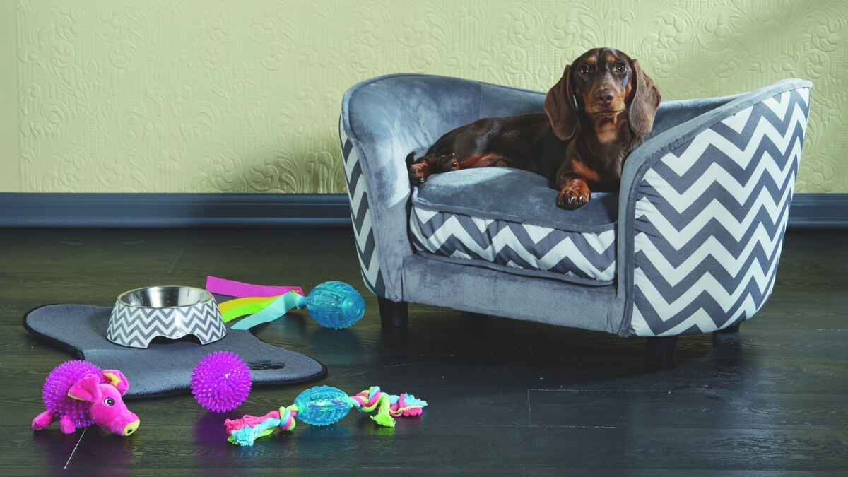 Treat your pets with these purrfect Special Buys ALDI Unpacked