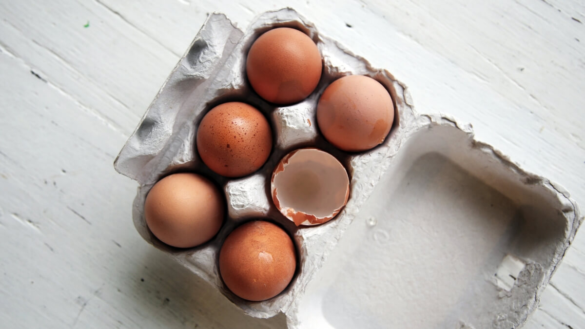 Preparing for a cagefree future ALDI Unpacked