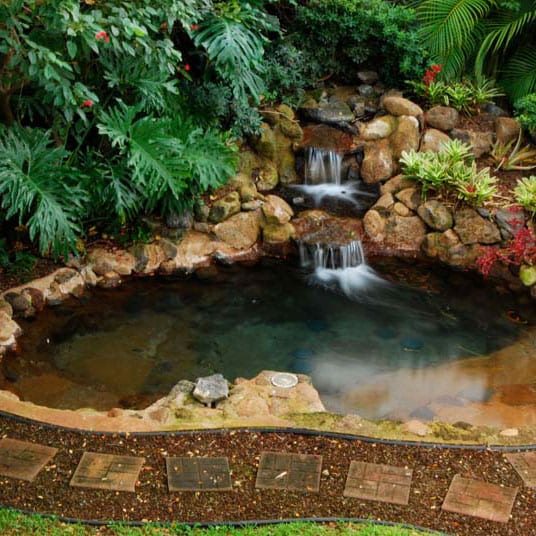 Installing Your First Waterfall With Stone ALD