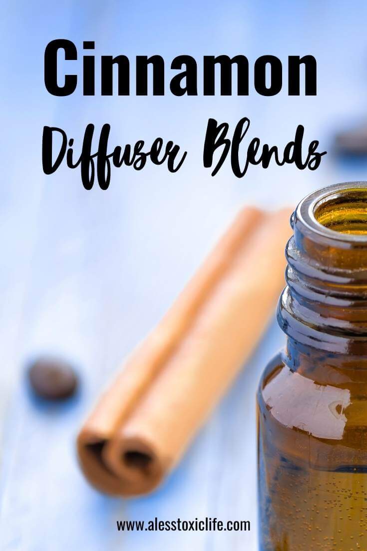 23 Cinnamon Diffuser Blends That Smell Amazing A Less Toxic Life