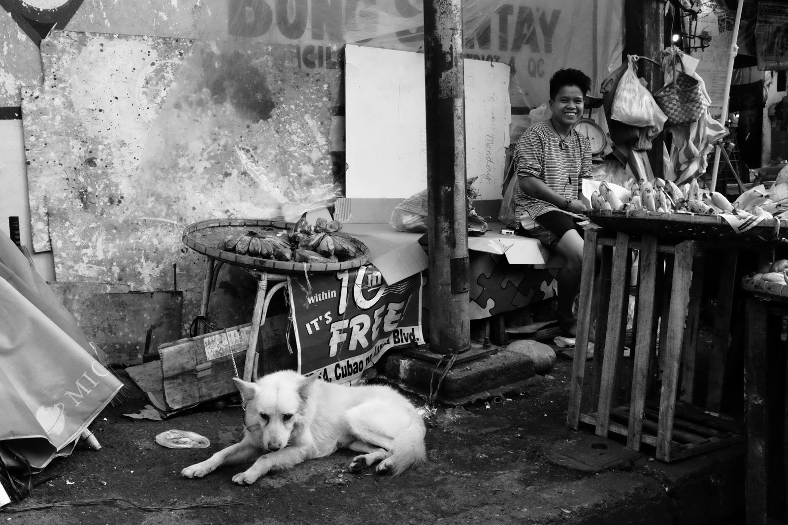 Street Dogs of Manila Alexandra Paredes