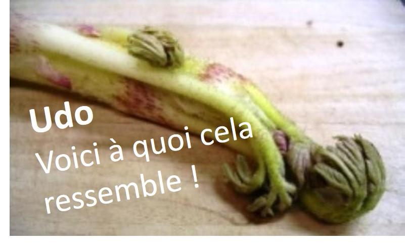 Fruits en U et légumes en U la liste complète en