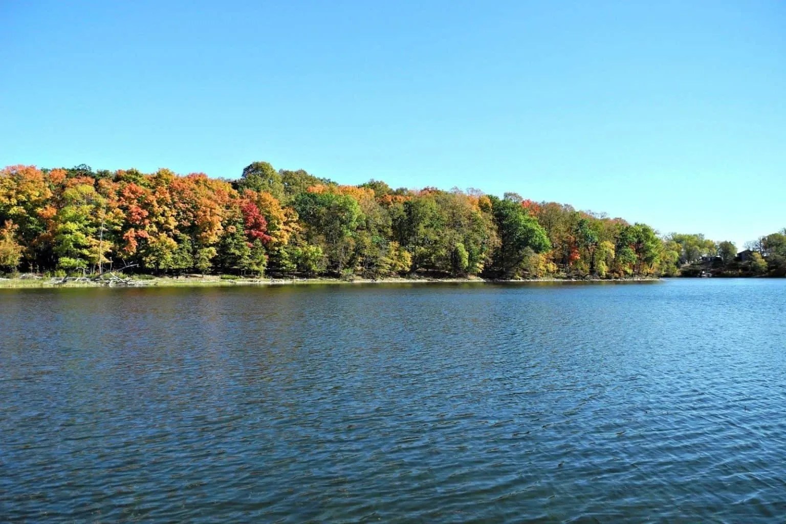 Lake Home Shopping in the Fall / BY CRAIG MISCHE