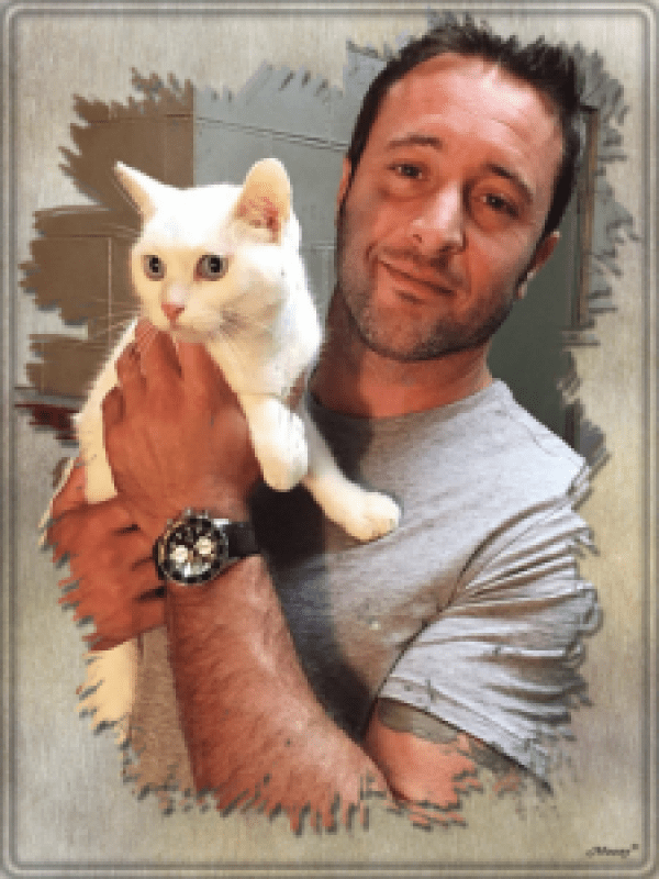 alex o'loughlin with cat