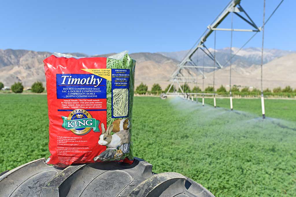 Timothy Hay Alfalfa King