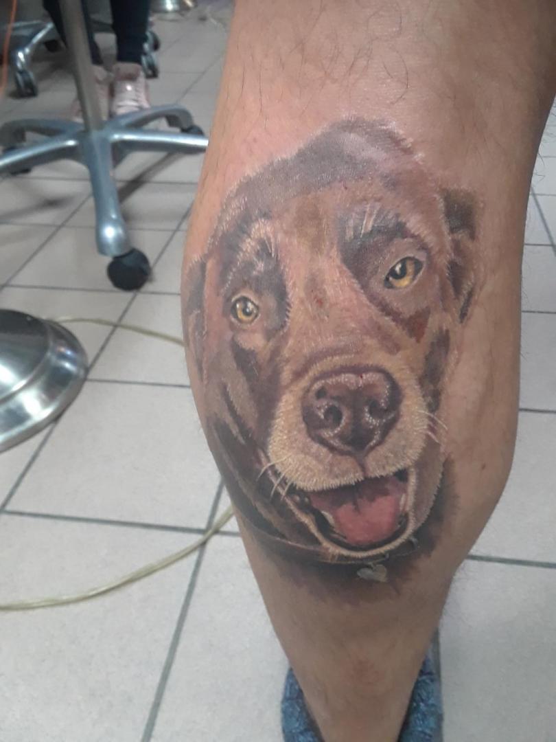 Galerie photos Joliette ALF Tattoo