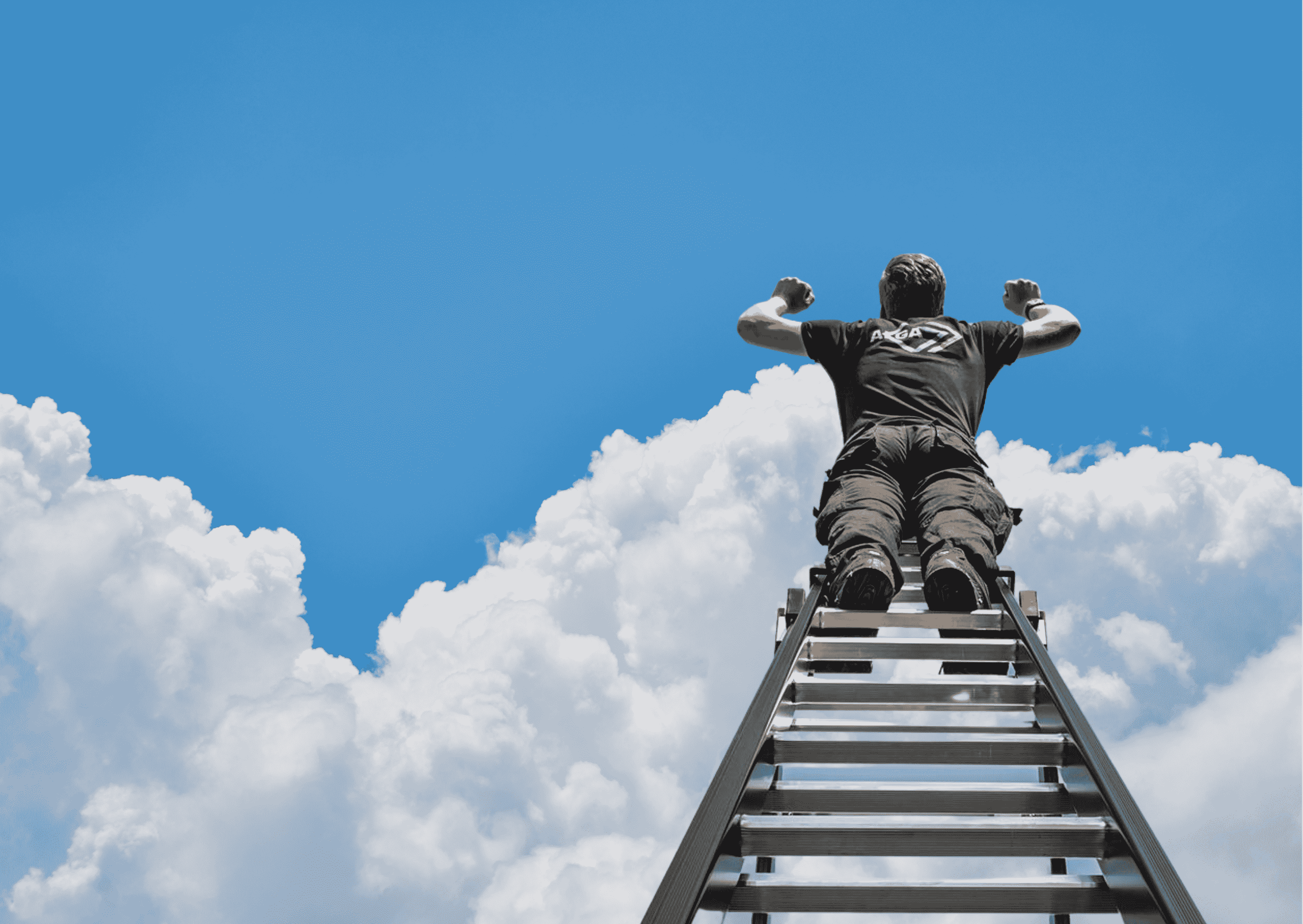 Ladder kopen? De sterkste Professionele Aluminium Ladders uit NL