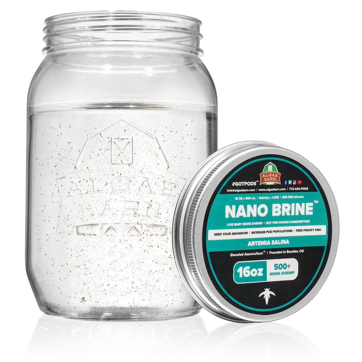 Artemia Nano Brine Brine Shrimp Live Foods AlgaeBarn