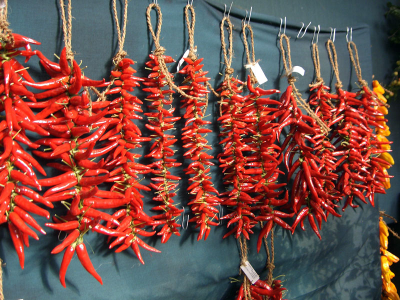 Piripiri chili The spice of the Algarve Algarve Travel Guide, Portugal