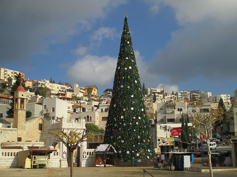 Jerusalem Municipality Giving Free Christmas Trees Jewish & Israel