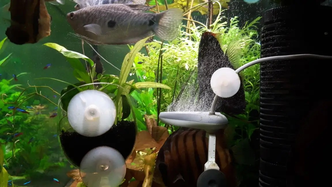 Twinstar Mittels Elekrolyse zum Algenfreien Aquarium Algenim