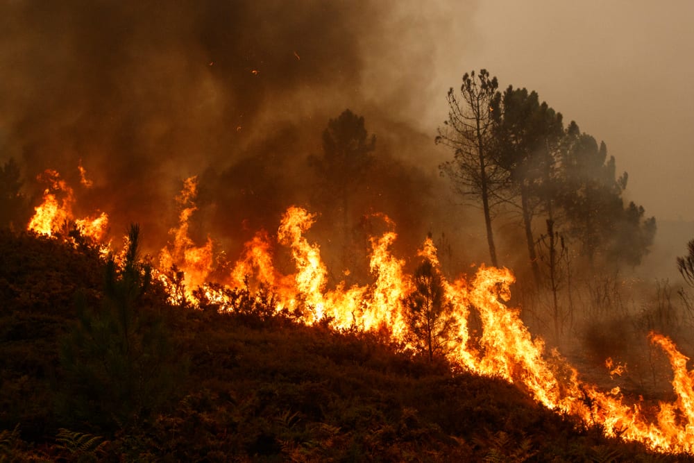 Tizi Ouzou Les flammes continuent de ravager les forêts de la région