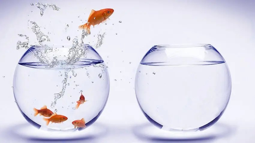 Is the water change harmful?