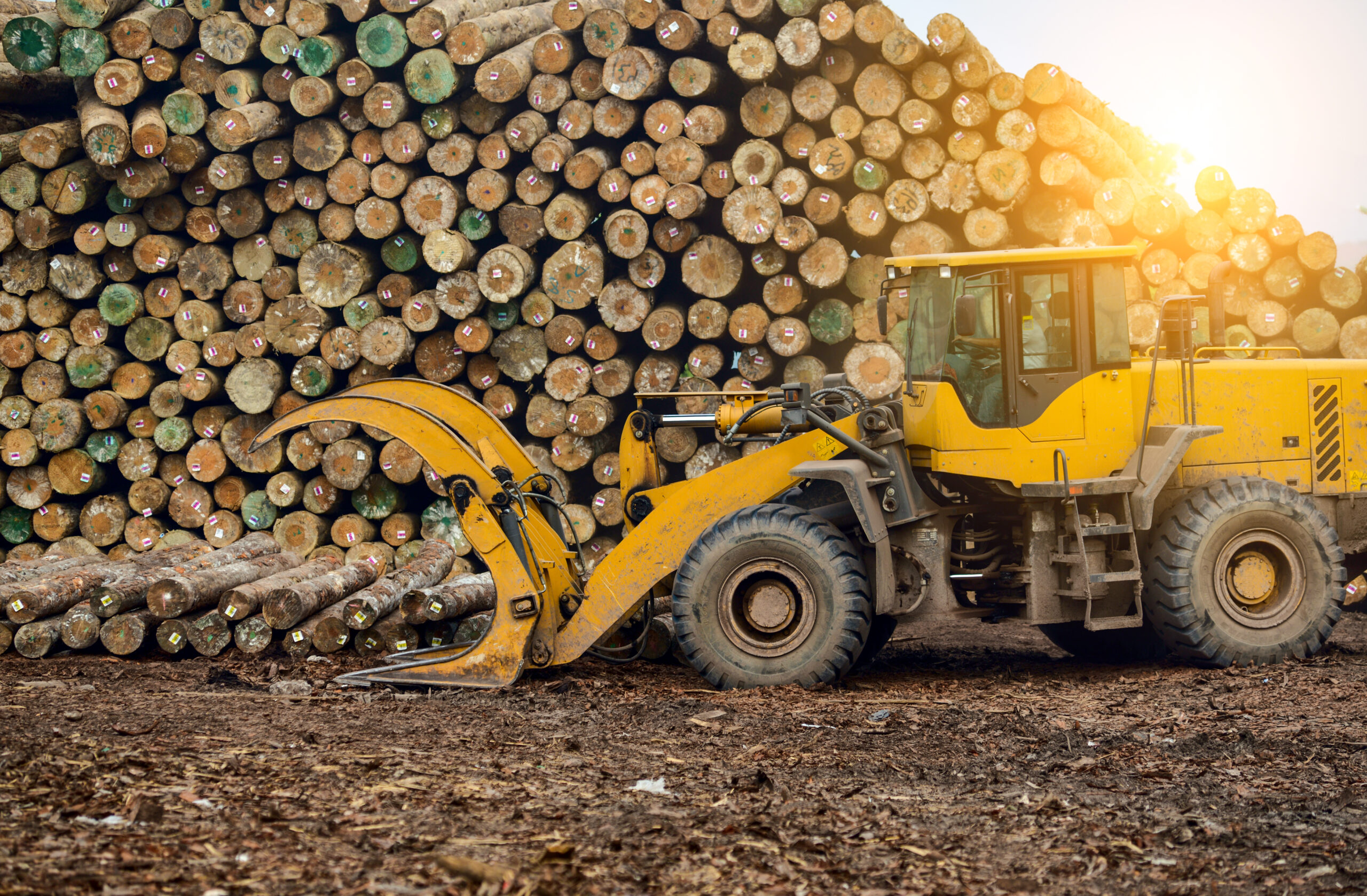 5 Tips for more effective logging