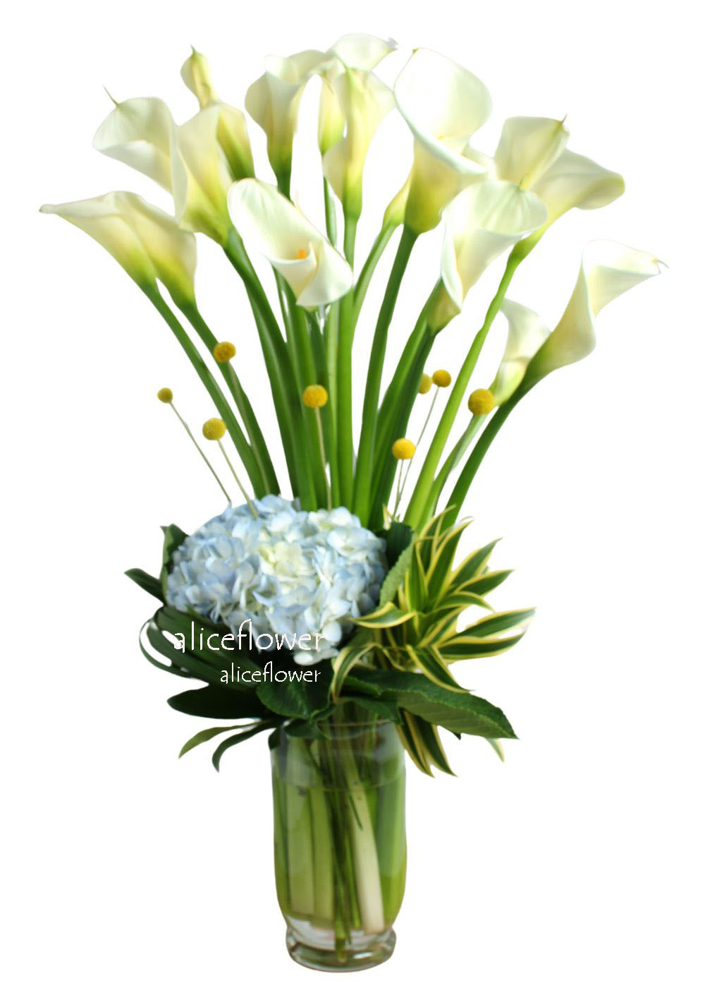 Flower Delivery Shop in Taiwan Taipei Florist