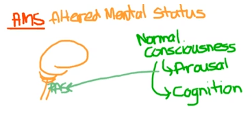 Altered Mental Status Aliem