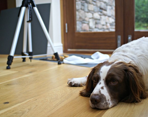You know you have a good dog when…
