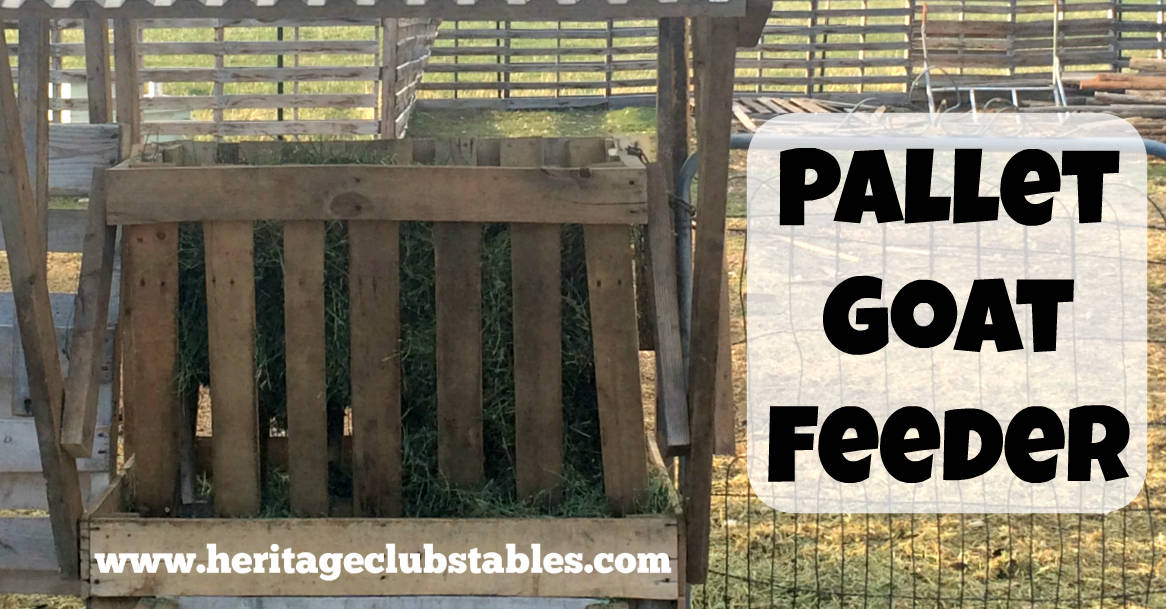 Goat Feeder Using Pallet Boards A Life of Heritage