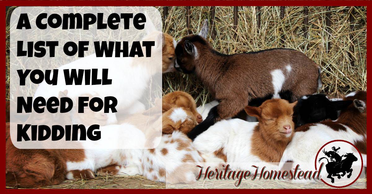 Kidding Kit A Complete list for goat birth A Life of Heritage