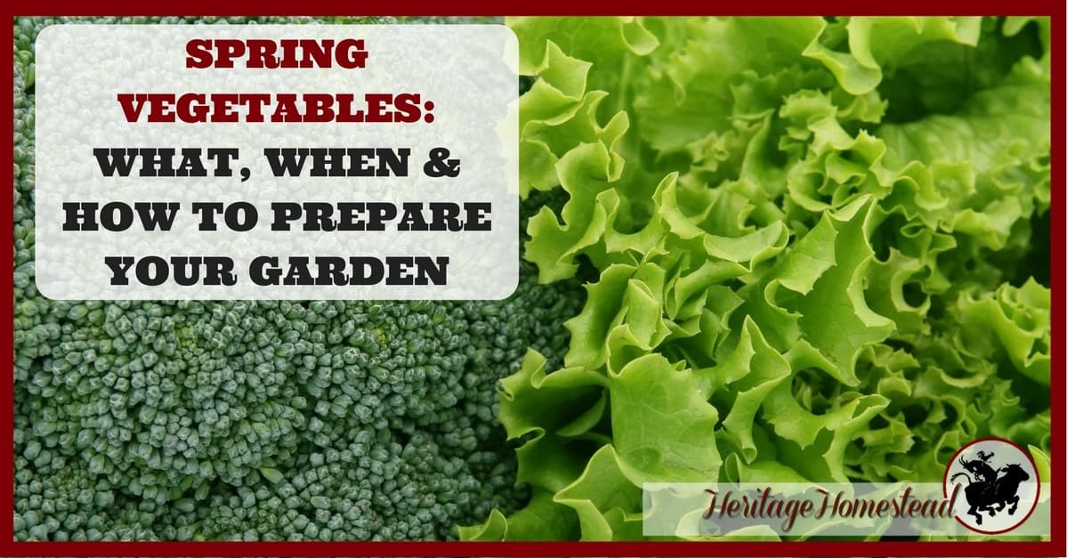 Spring Vegetables What, When & How to Prepare Your Garden
