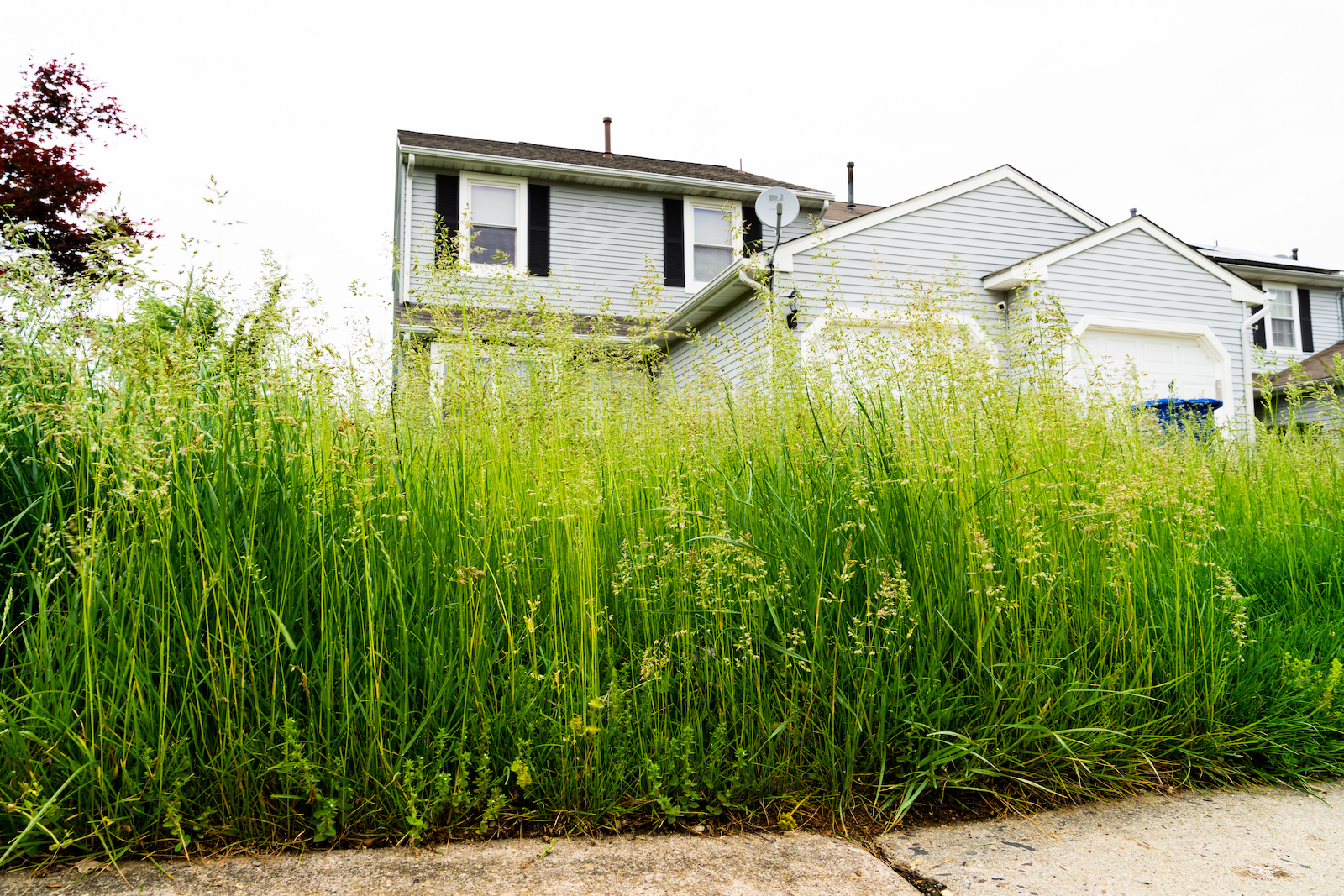 Where Can I Get Insurance For A Vacant Home In Canada? ALIGNED