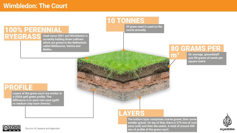 Laying the Wimbledon seeds Science and Technology Al Jazeera