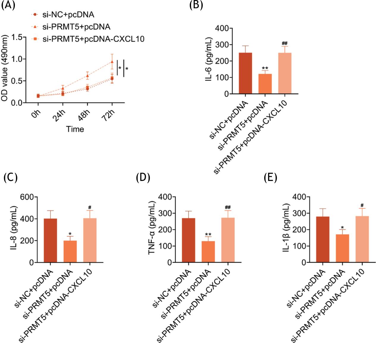 PRMT5 promotes inflammation of cigarette smoke extractinduced