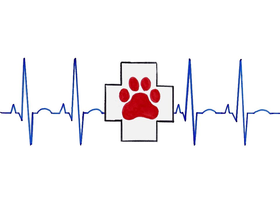 Owner Trained Service Dog All 4 Paws Training, LLC