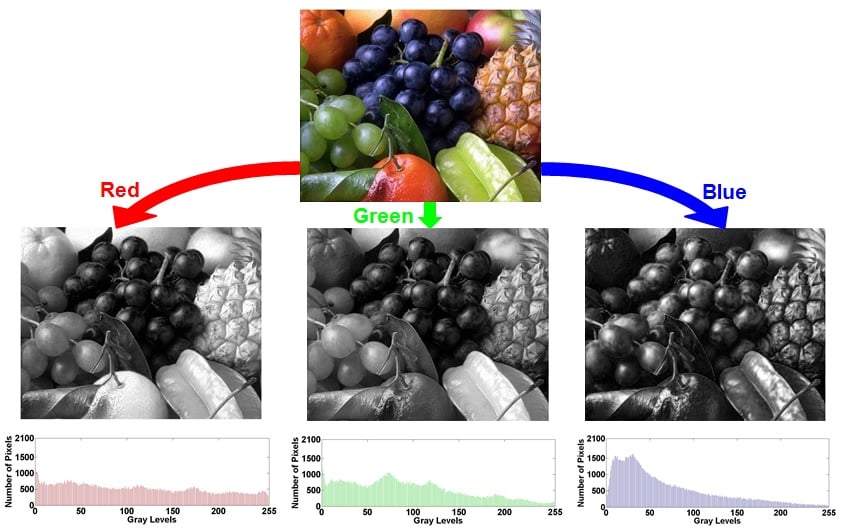 Pixel Intensity Histogram Characteristics Basics of Image Processing