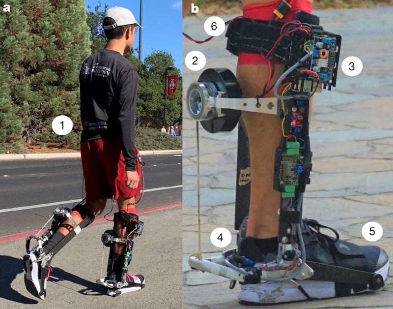 Smart Boots and Leg Wearables Make Strides to Market News