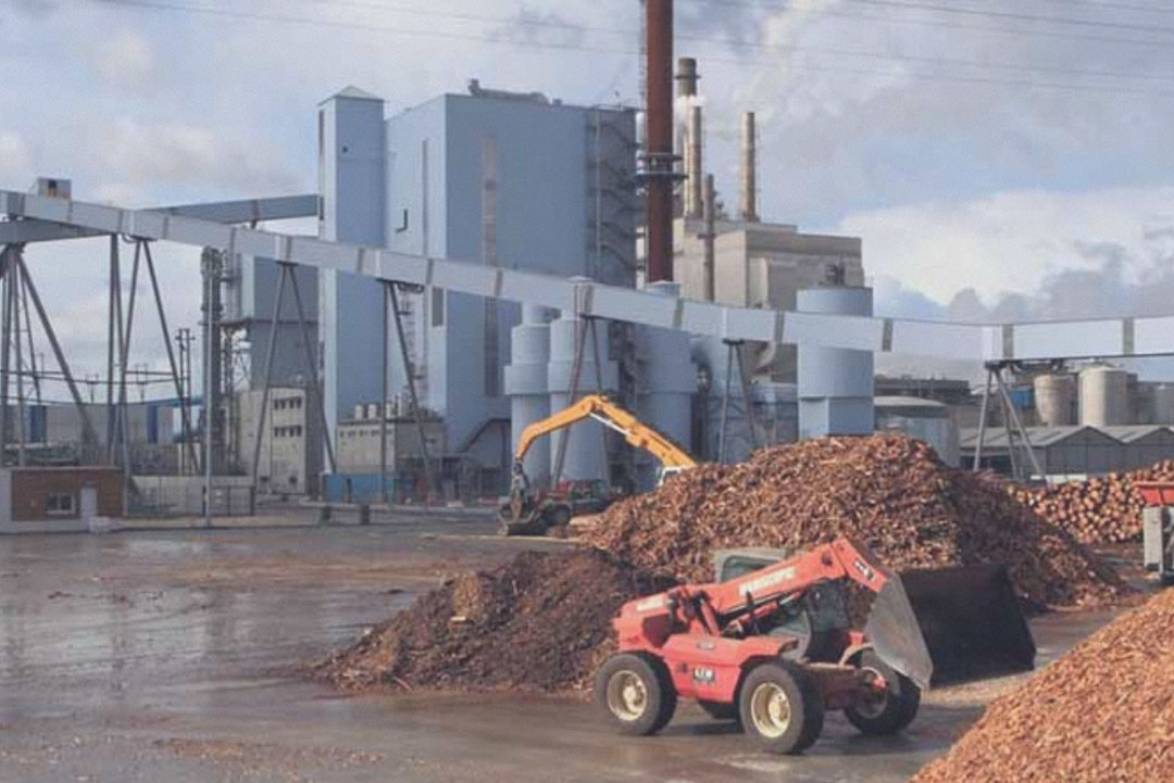 Ukraine begins processing food waste into feed All About Feed