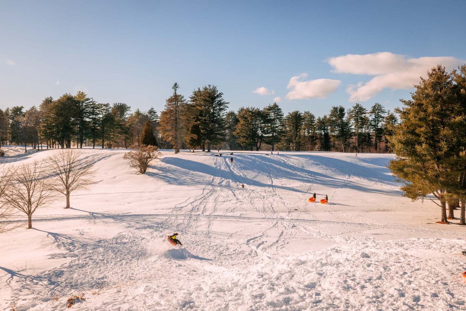 Our Favorite Sledding Hills around Portland, Maine Allagash Brewing