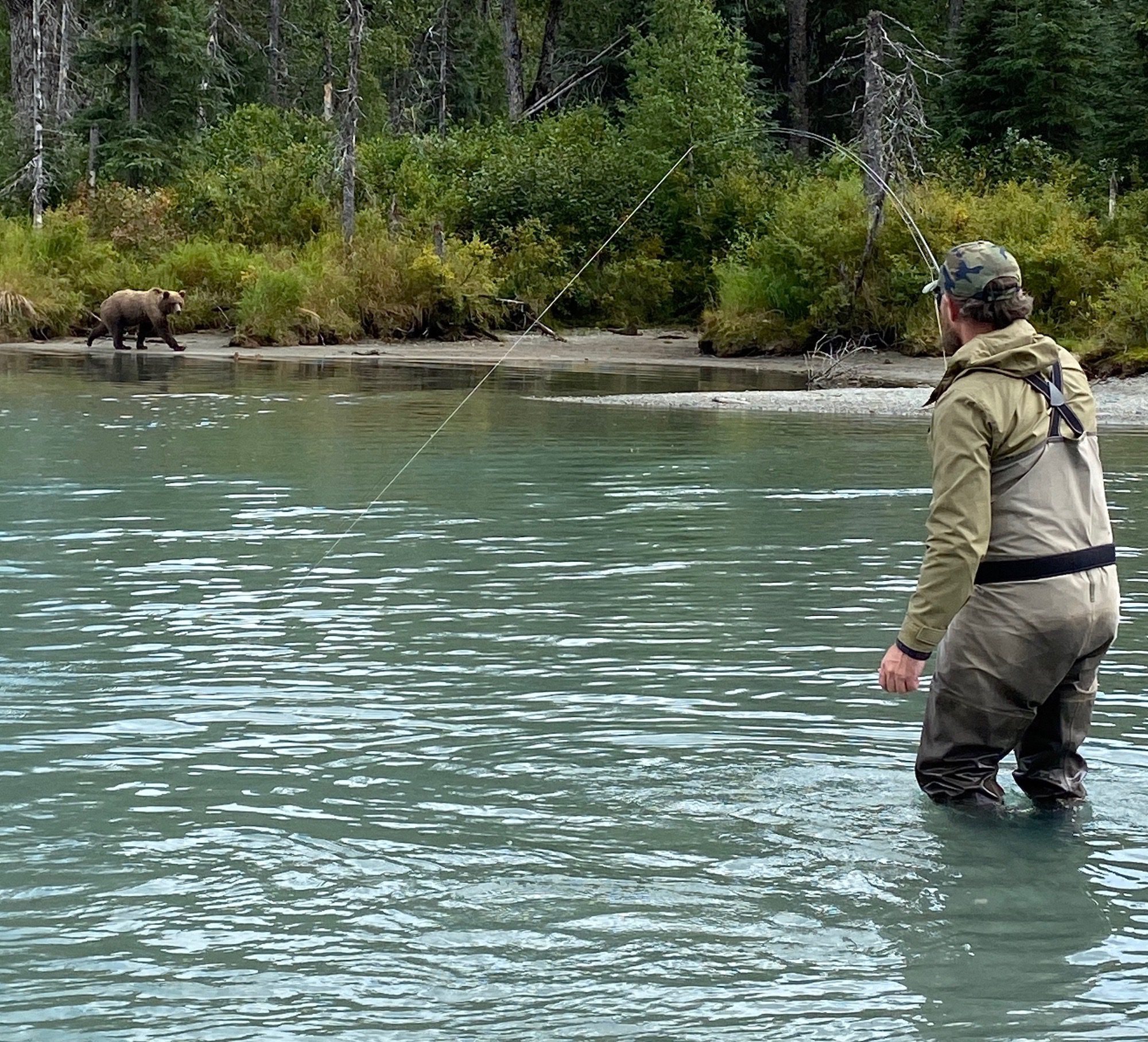 Float Plane Trips Designed For Bear and Wildlife Viewing in Alaska