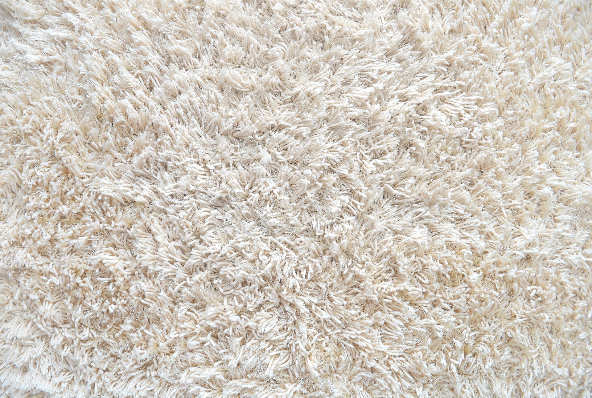 Carpet Cleaning Noblesville, IN Carpet Cleaning Near Me