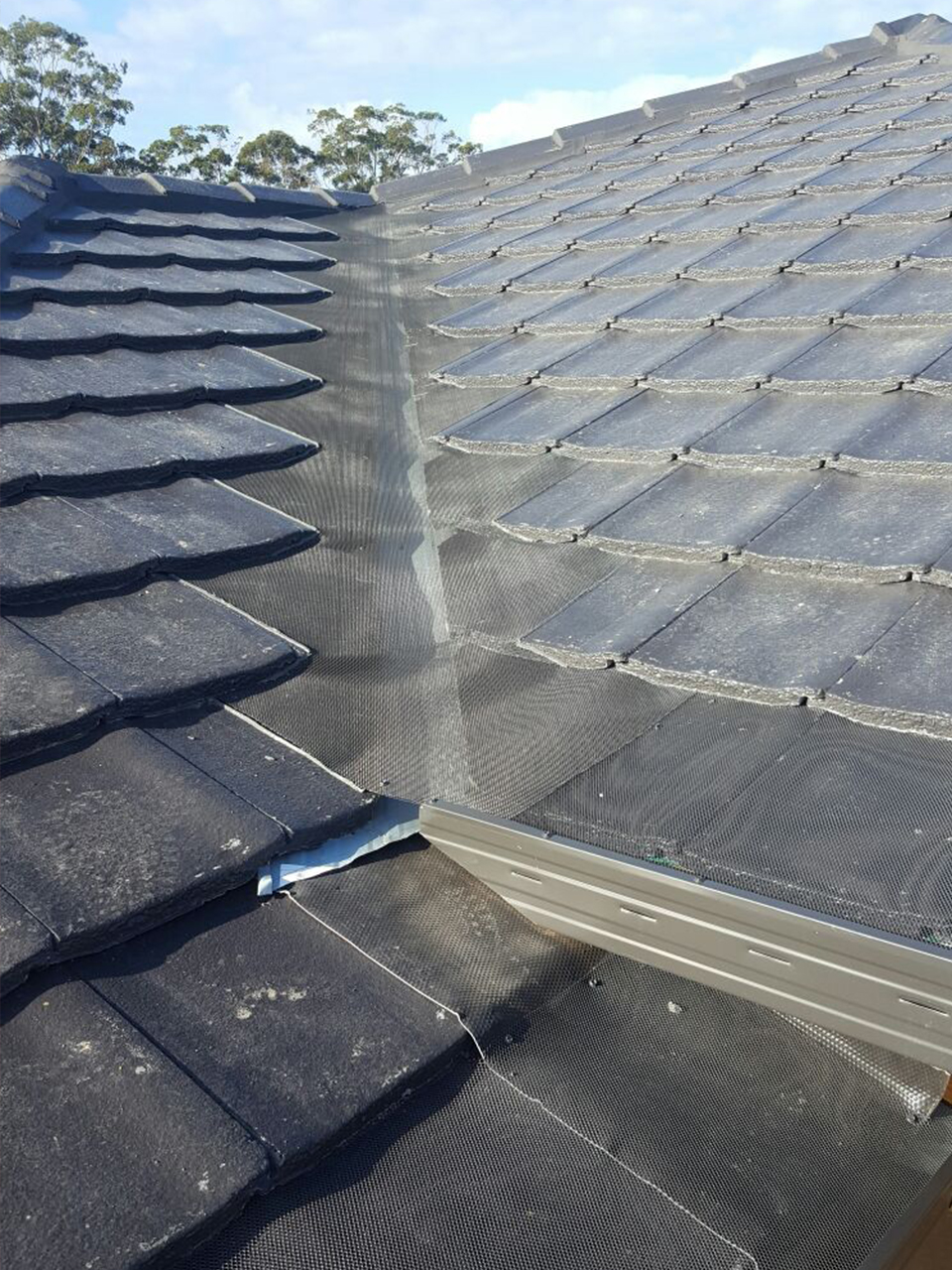 Gutter Guard Installation AllCoast Roofing Gold Coast
