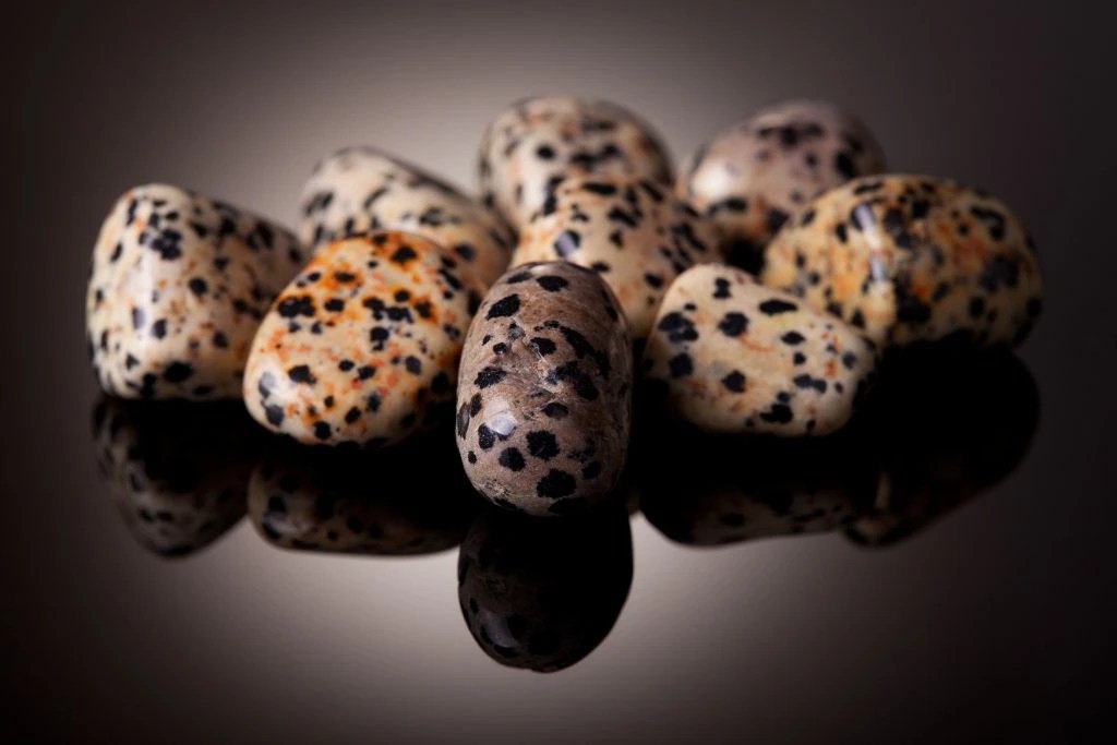 Dalmatian Jasper Meaning, Properties, Benefits Must know