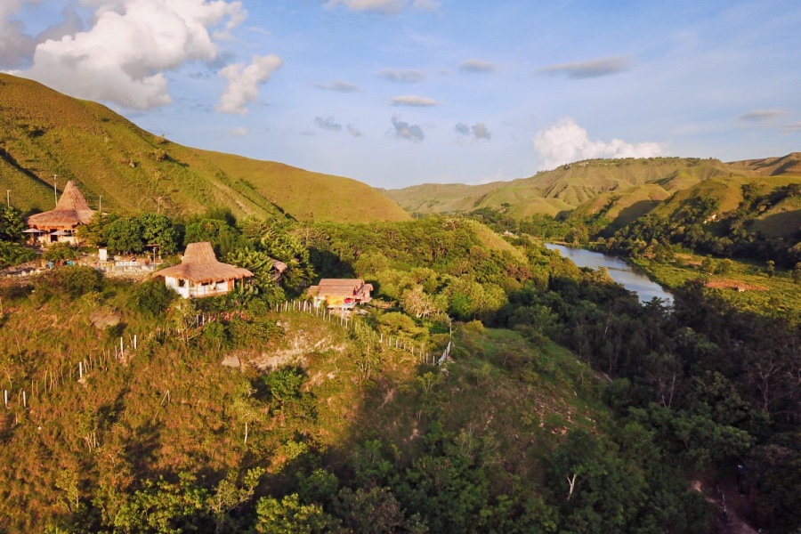 Morinda hotels en resto » All Day Every Daisy