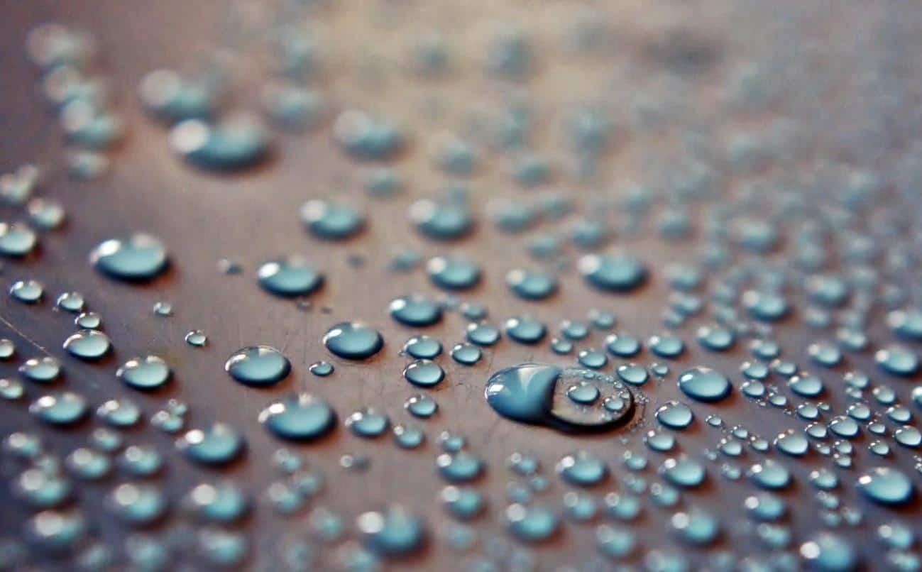 How Do You Check for Moisture in Walls?