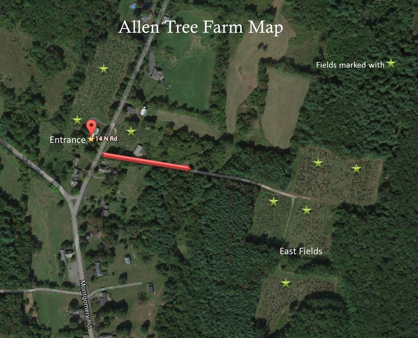 Allen Tree Farm