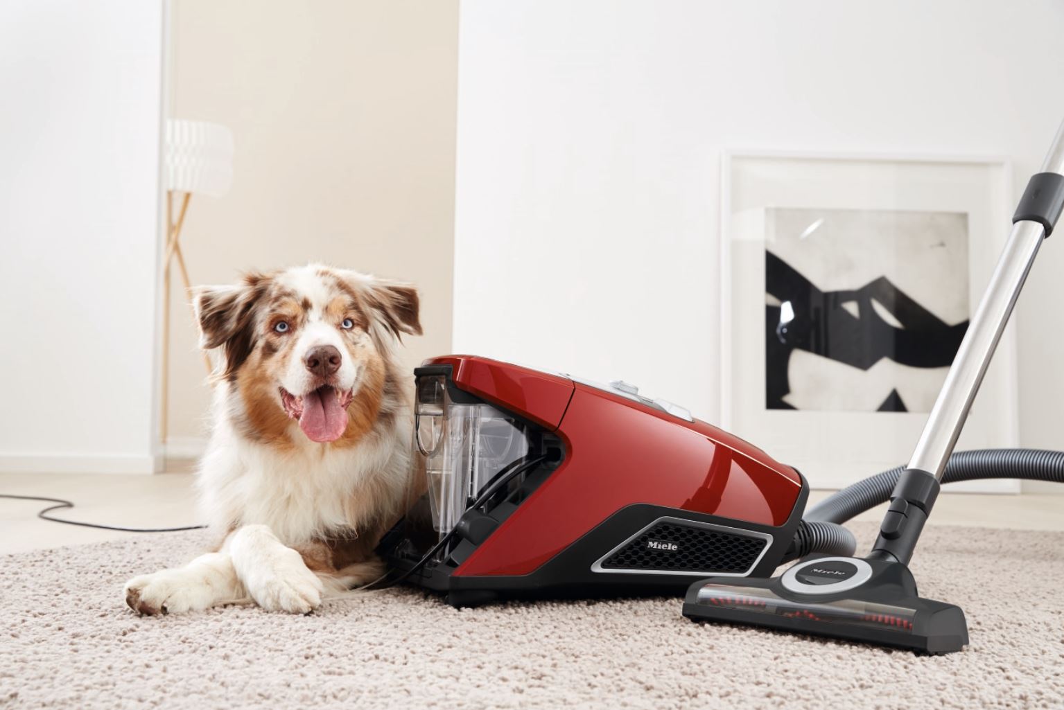 Miele Blizzard CX1 Cylinder Vacuum Cleaner (Bagless) Allergy UK