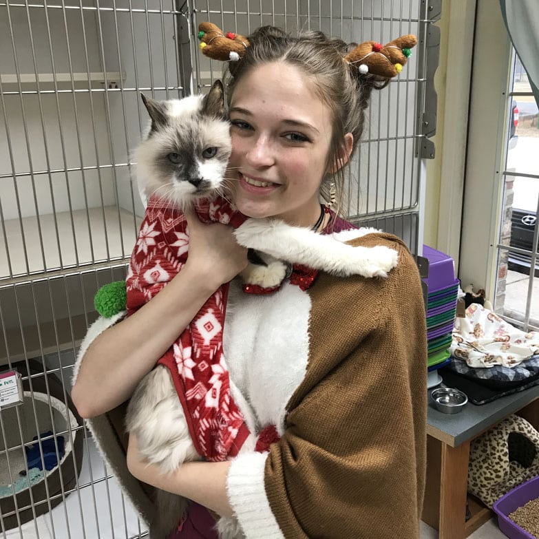 Photo Gallery All For Pets Vet