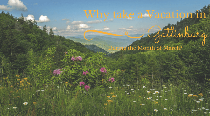 Why take a Vacation in Gatlinburg During the Month of