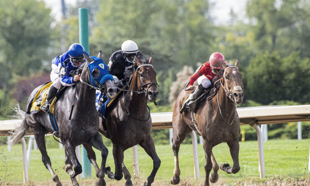 Understanding Horse Racing Odds Deciphering Favourites and Underdogs