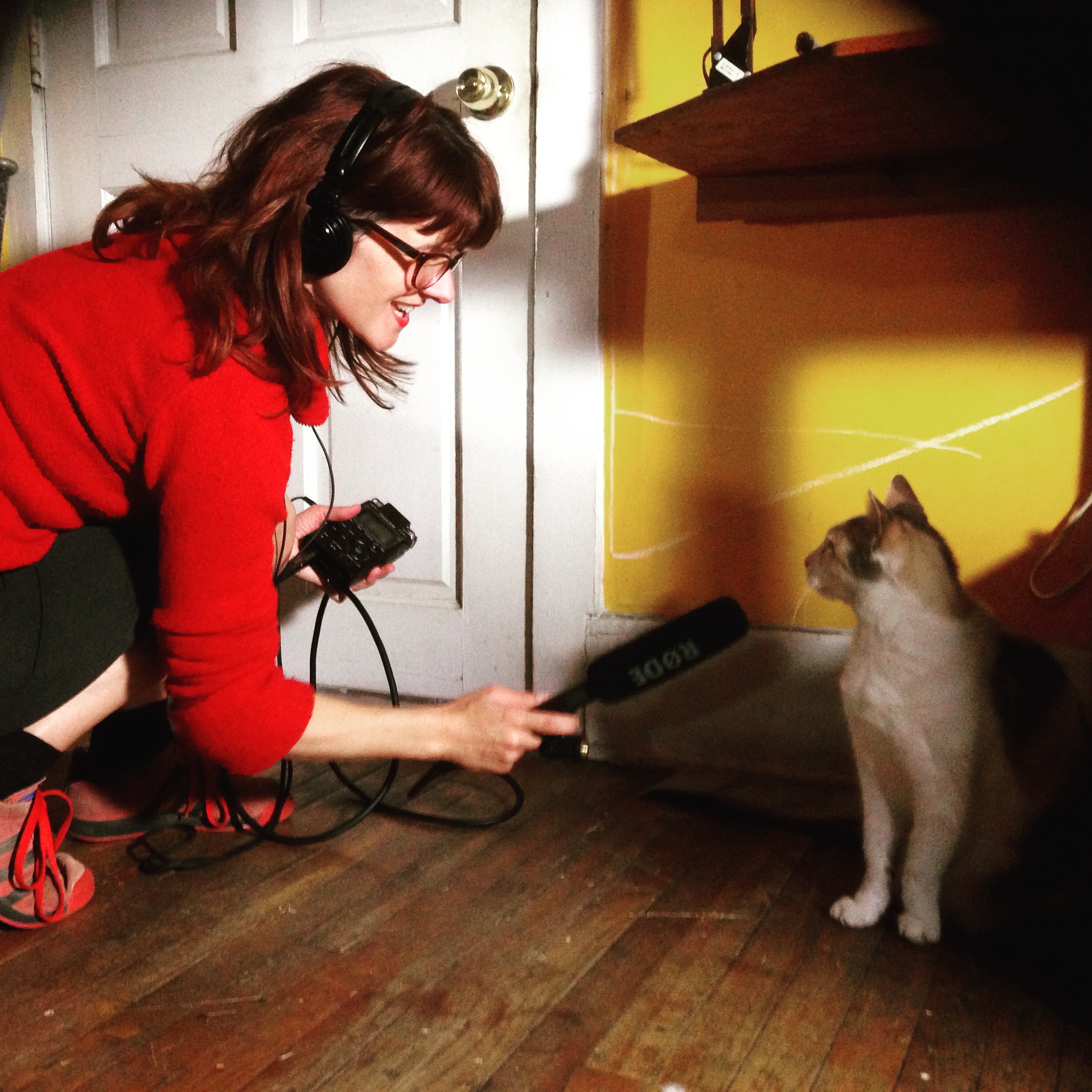 Published Works Allison Wolfe