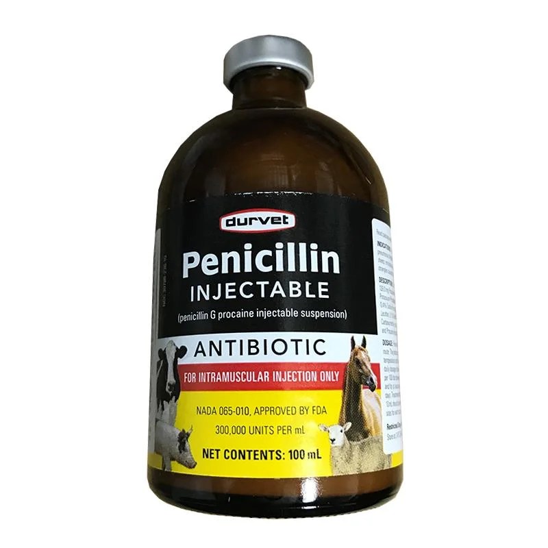 Durvet Penicillin Injectable (Penicillin G Procaine) Allivet